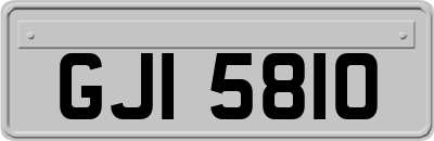 GJI5810