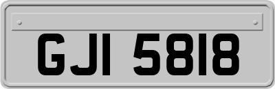 GJI5818