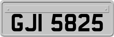 GJI5825