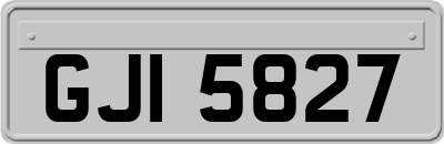 GJI5827