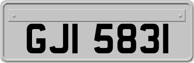 GJI5831