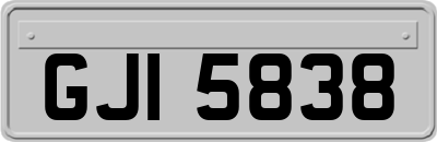 GJI5838