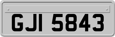 GJI5843