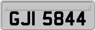 GJI5844