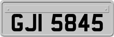 GJI5845