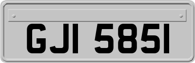 GJI5851