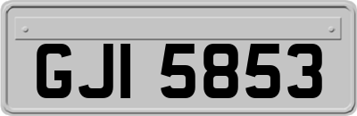 GJI5853