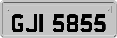 GJI5855