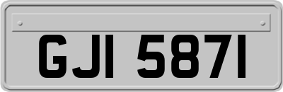 GJI5871