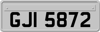GJI5872