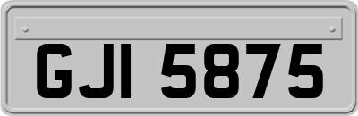 GJI5875