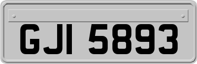 GJI5893