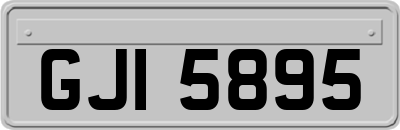 GJI5895