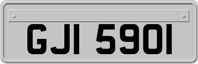 GJI5901