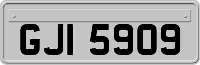 GJI5909