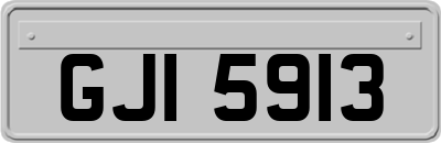 GJI5913