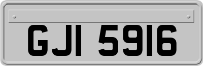 GJI5916