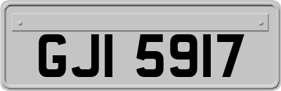 GJI5917