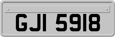 GJI5918