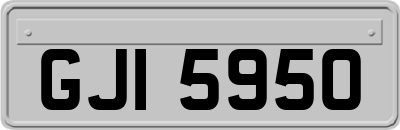 GJI5950