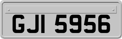 GJI5956