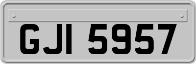 GJI5957