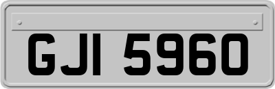 GJI5960