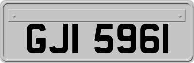 GJI5961