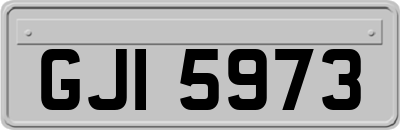GJI5973