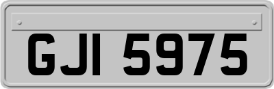 GJI5975