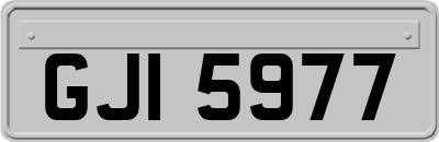 GJI5977