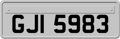 GJI5983