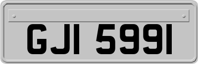 GJI5991