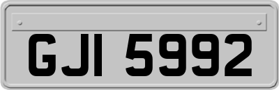 GJI5992