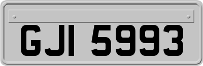 GJI5993