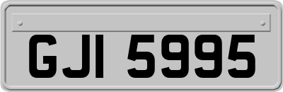 GJI5995