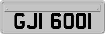 GJI6001