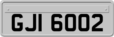 GJI6002