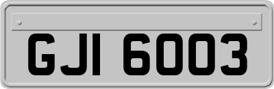 GJI6003