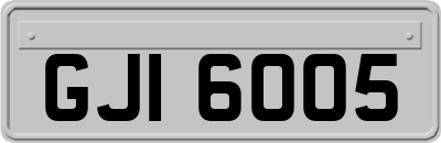 GJI6005