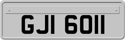 GJI6011