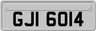 GJI6014
