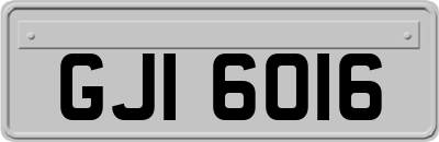 GJI6016
