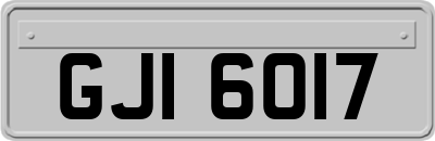 GJI6017