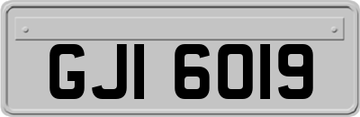 GJI6019