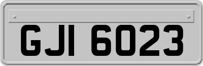 GJI6023