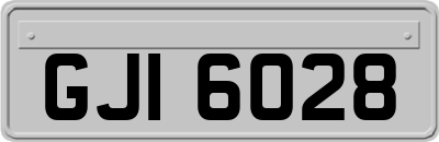 GJI6028