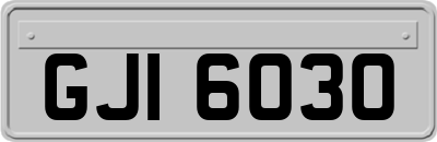 GJI6030