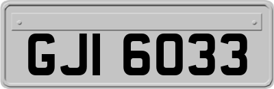 GJI6033