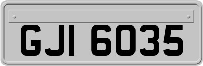 GJI6035
